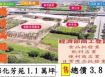 彰化芳苑台61線㊣旁廠房