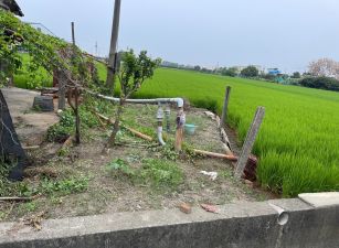 雲林縣虎尾雙面路農地