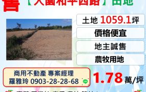 【大園和平西路】價格便宜田地(地主誠售)