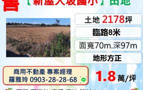 【新屋大坡國小】正8米路大面寬地形方正田地