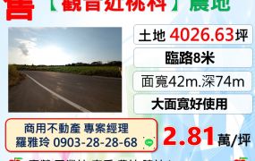 【觀音近桃科】臨8米路一般農業區大面寬農地