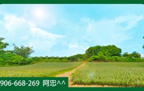 仁美國小旁休閒方正都計內美農地(多塊可選)