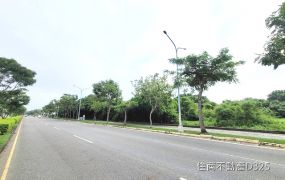 南科臨路增值美農地
