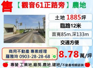 【觀音61正路旁】大面寬交通便利農地(投資自用皆宜)