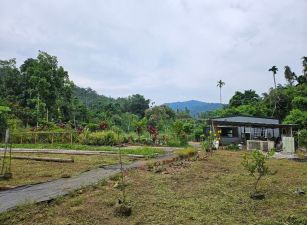 專任鹿谷秀峰瑞峰國中旁坪子頂段合法資材室有水有電平坦農地