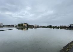 許書豪★三星尾塹公園安農溪第一排足坪農地