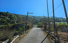 南投人倫林道郡坑段高視野高海拔平坦農地台中買屋賣房,土地王劉志忠