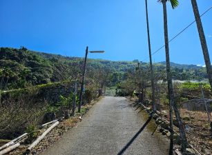 南投人倫林道郡坑段高視野高海拔平坦農地台中買屋賣房,土地王劉志忠