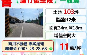 【蘆竹正中山南路】臨路12米小坪數小額投資美農地
