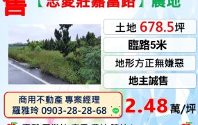 【觀音忠愛莊嘉富路】5米路會車方便地形方正無嫌惡美田