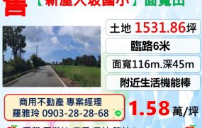 【新屋大坡國小】６米路交通便利生活機能佳大面寬田地
