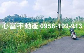 仁武觀音山8米路都內農地