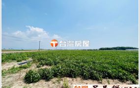 嘉義太保新埤美農地 台灣阿魯米 嘉義建地農地