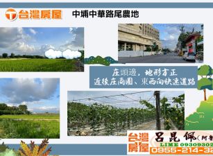 中埔中華路尾農地 台灣阿魯米 嘉義建地農地