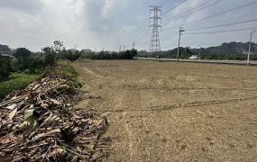 左鎮丙建+農地