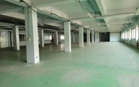 租龜山工業區廠房184