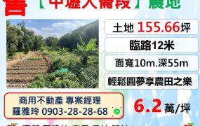 【中壢大崙段】正12米路交通便利地勢平坦樂活農地