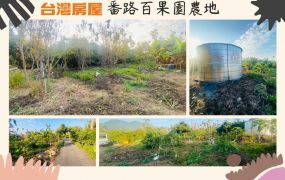 番路百果園農地 台灣阿魯米 嘉義建地農地