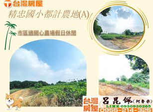 精忠國小都計農地(A) 台灣阿魯米 嘉義建地農地