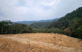埔里鎮桃米坑段江山樂活旁景觀平坦台中買屋賣房,土地王劉志忠