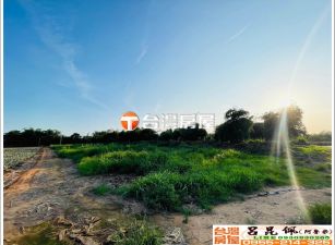 東義路旁都計俗農地 台灣阿魯米 嘉義建地農地