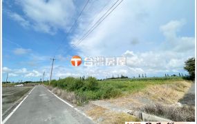 四湖鄉明德國小農地 台灣阿魯米 嘉義建地農地