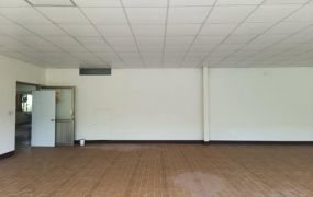 新屋挑高倉庫廠