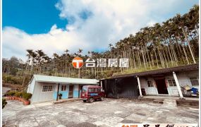 瑞里景觀建地 台灣阿魯米 嘉義建地農地