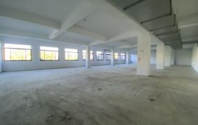 中壢工業區30米路全新廠辦