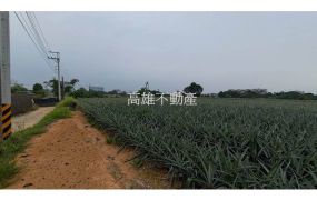 💖(已售出)高雄大樹漂亮增值農地