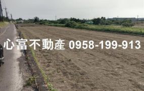 路科旁方正農地大面寬