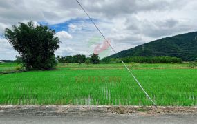 鳳林慢城1600坪近台九線農地－瑞穗有巢B228