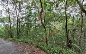 〔原〕紅葉溪畔純淨山坡農地－瑞穗有巢 B224