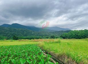 壽豐近台九線都內1300坪農地－瑞穗有巢B226