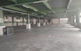觀音工業區鋼構廠房出租B