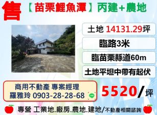 【苗栗鯉魚潭】臨苗栗縣道60m丙建+農地休閒露營農場