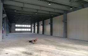 八德全新挑高10米廠房/八德工業地廠房