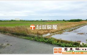 水林西興有深水井農地 台灣阿魯米 嘉義建地農地