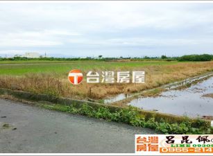 水林西興有深水井農地 台灣阿魯米 嘉義建地農地