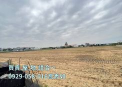 嘉市都計農建地466坪