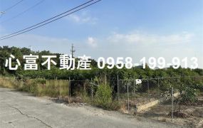 岡山大埔農地大坪數近大莊路