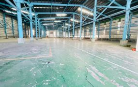 新屋(可廠登)挑高9.8米鋼構廠房    •	大桃園廠房工業地買賣出售/廠房出租