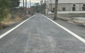 湖內農地天車幸福廠房-收租中-有電力