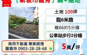 【觀音新坡市區旁】近66交通便利雙面臨路農+建地