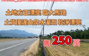 縱222_台東瑞源國中馬路邊土地大面寬