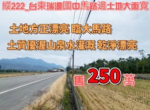 縱222_台東瑞源國中馬路邊土地大面寬