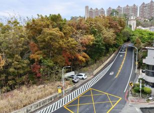 大社觀音山景觀山林山莊透天別墅2