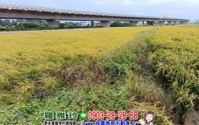 【新屋台61線西濱快速道路旁】地型方正好規劃一般農