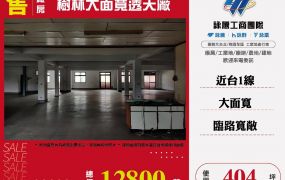 樹林大面寬透天廠