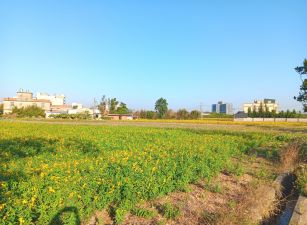 東明國小美農地